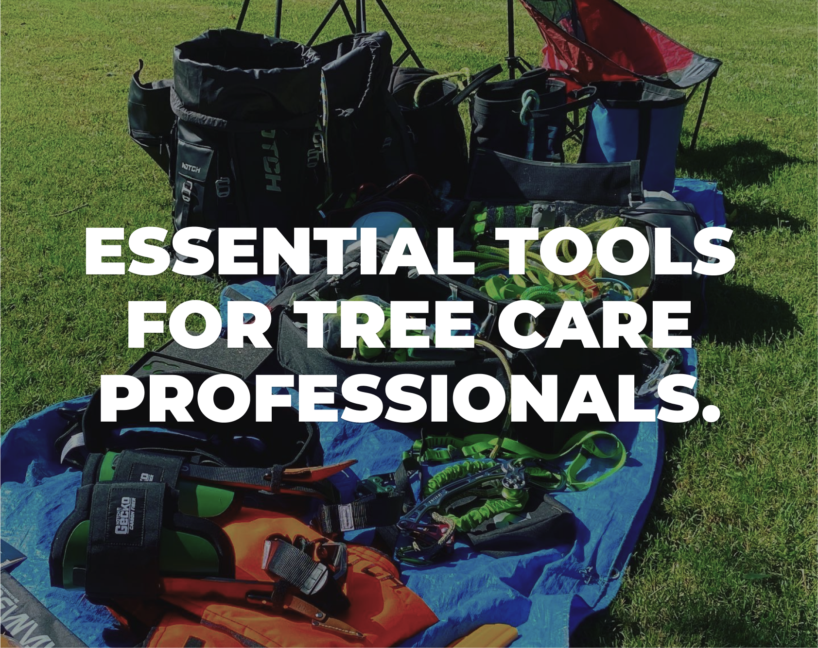Arborist Supplies: Essential Tools for Tree Care Professionals.