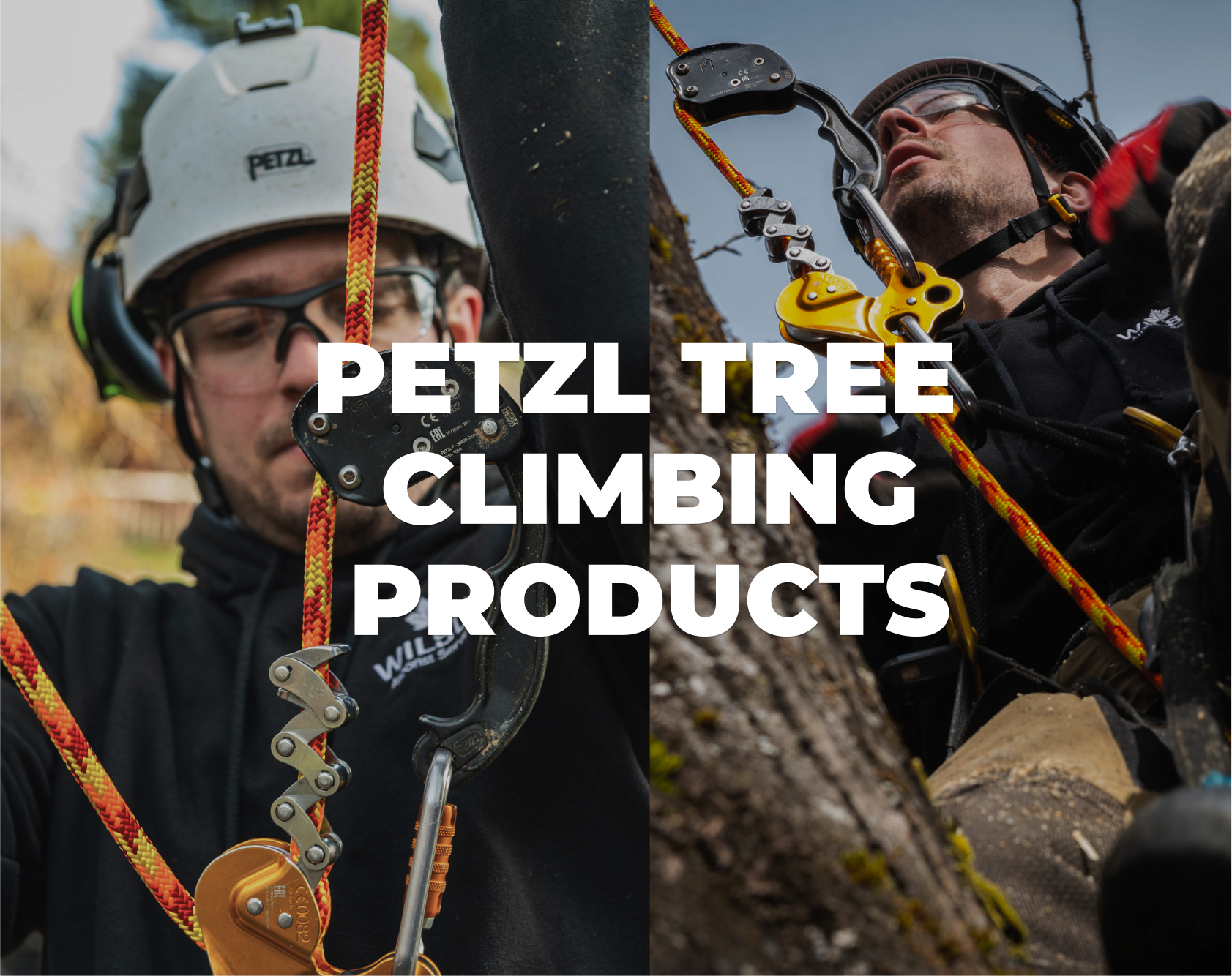 Petzl Tree Climbing Products