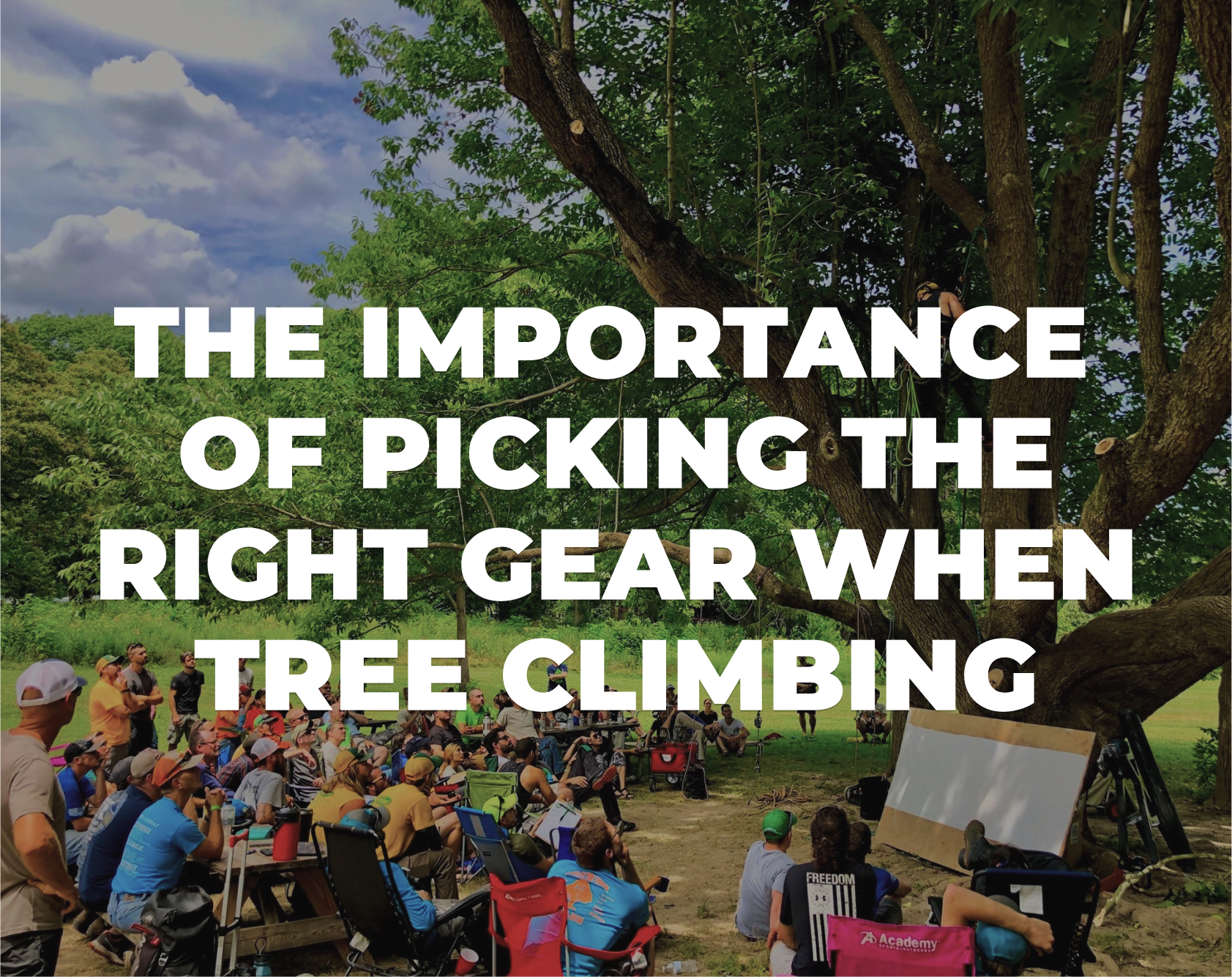 The Importance of picking the Right Gear When Tree Climbing