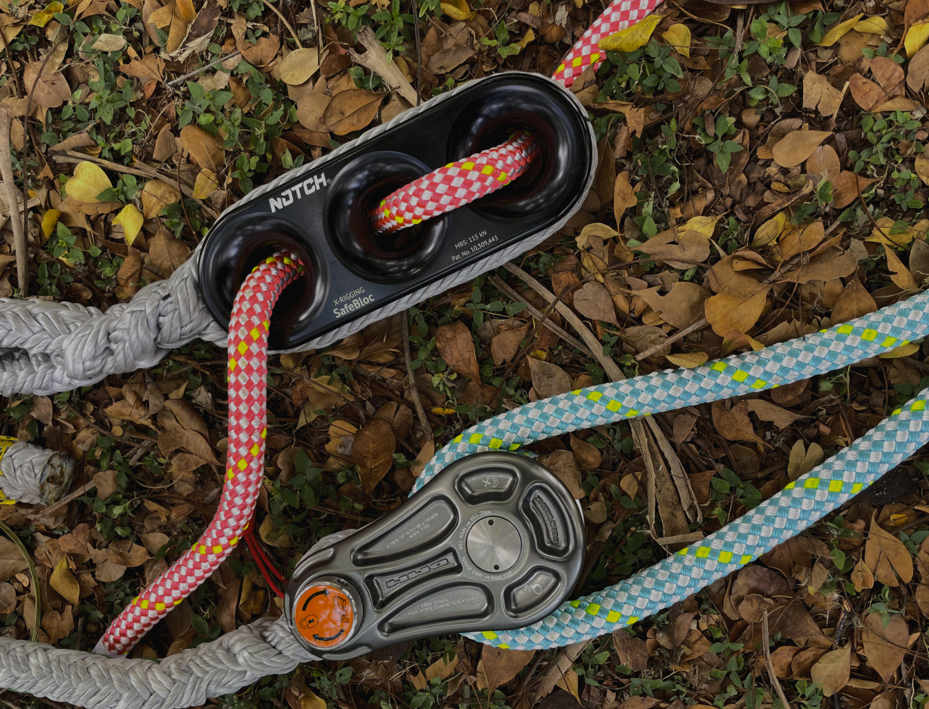 tree climbing equipment