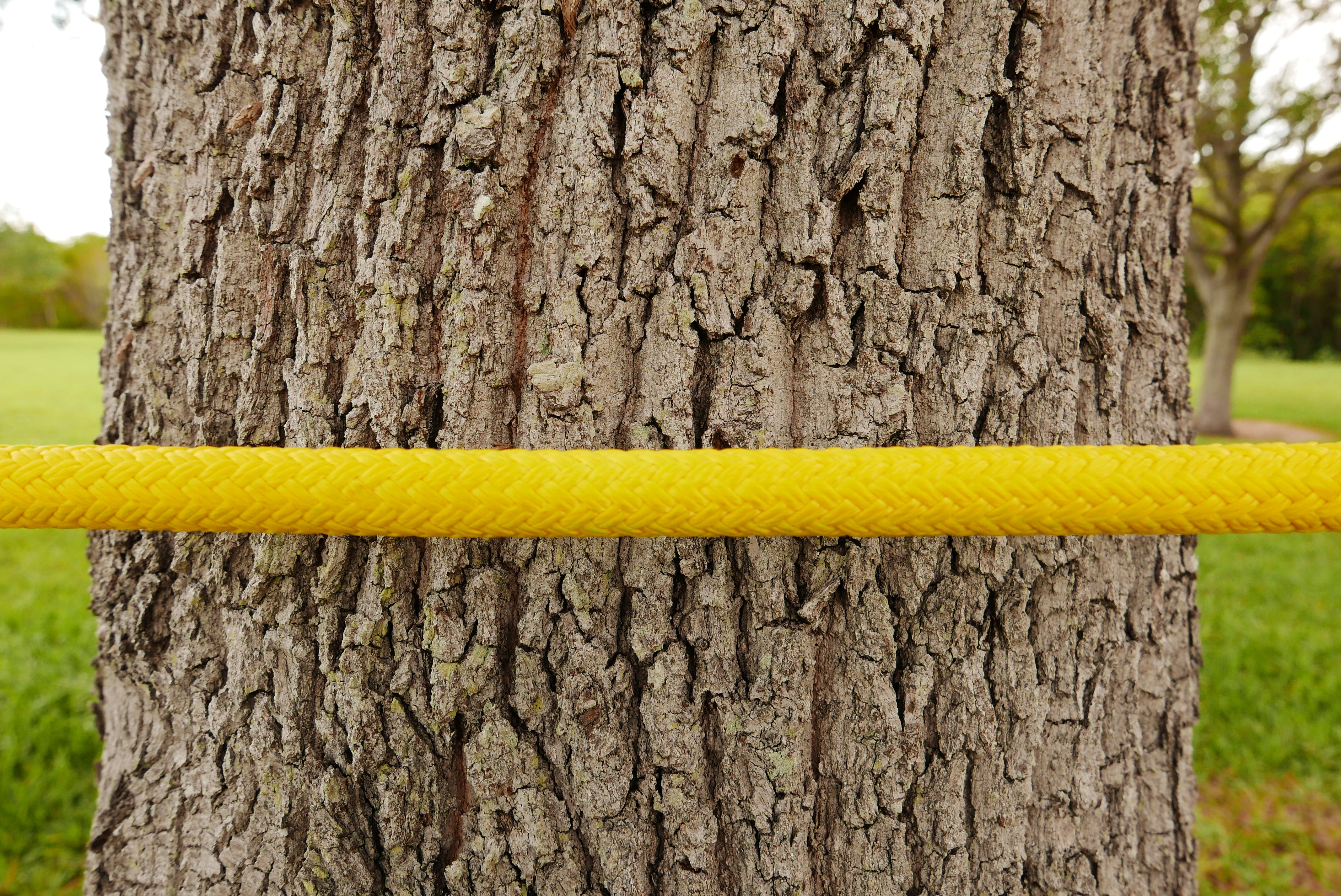 5/8" (16mm) Arbo Space LDB (Coated Polyester Double Braid)