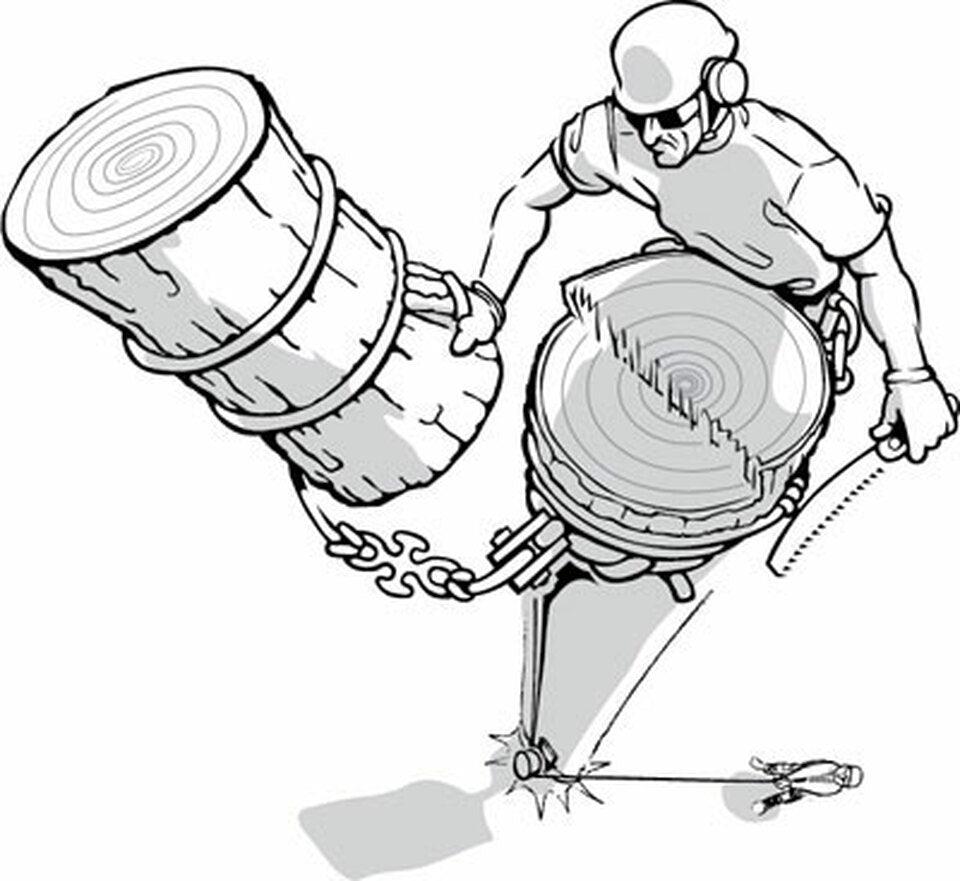 Notch Backbone® Knotless Rigging Connector