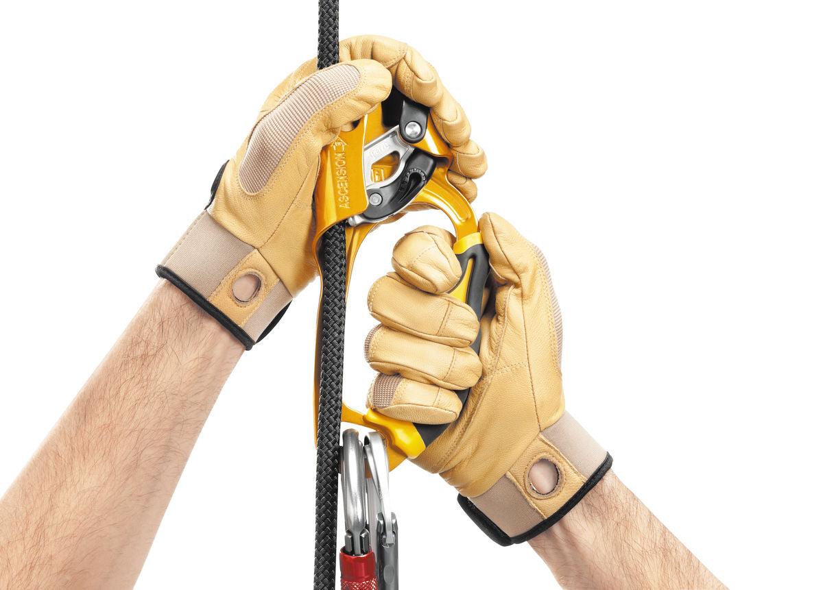 Petzl Ascension Hand Ascender - Arbo Space