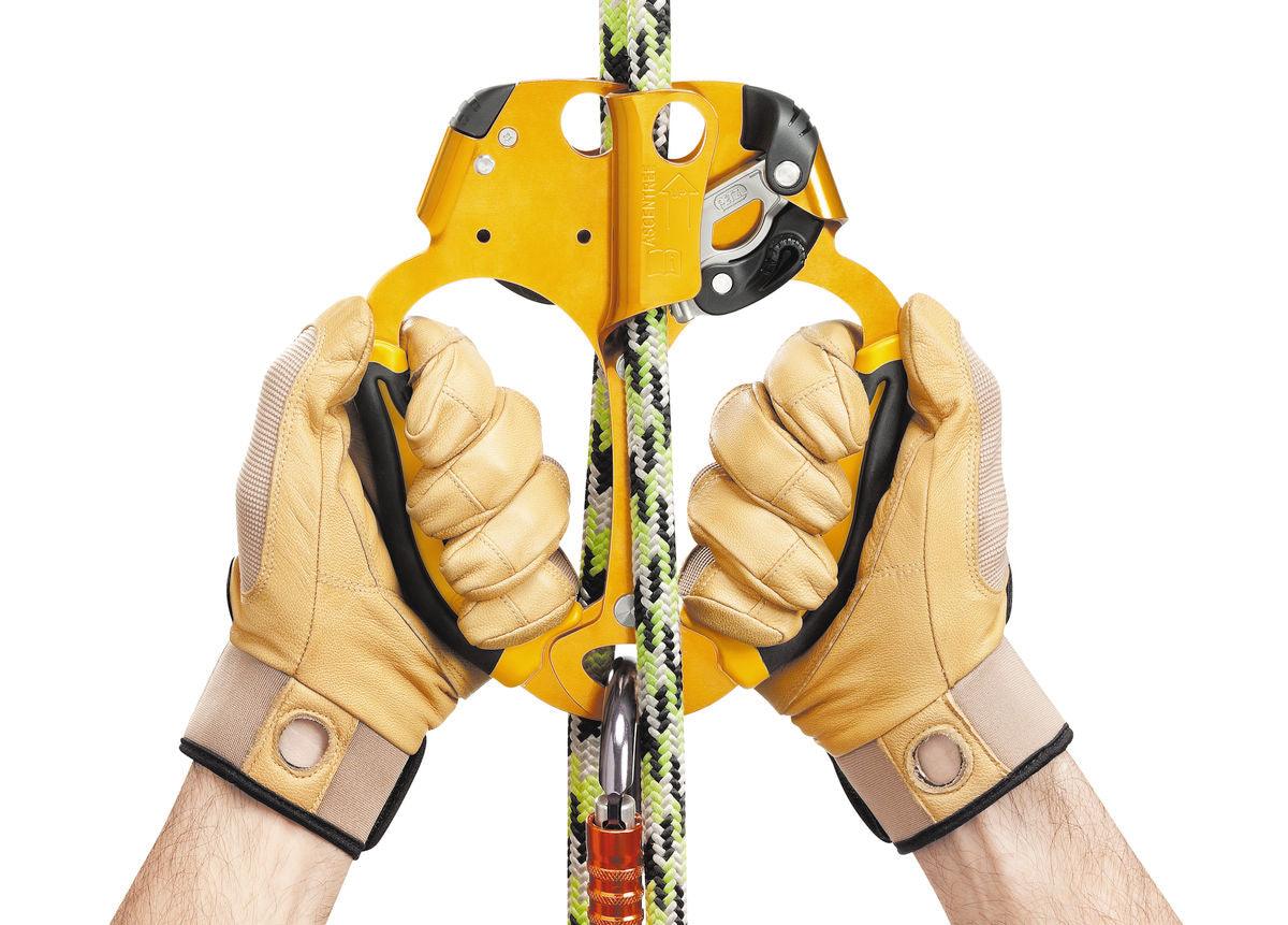 PETZL Ascentree double handled rope clamp - Arbo Space