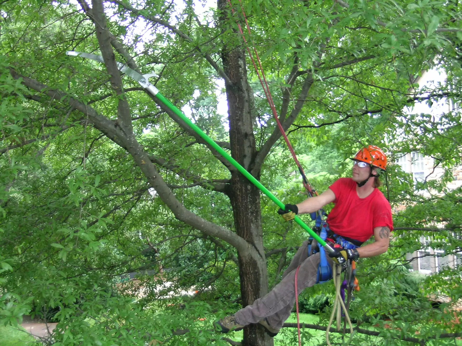 LS Hollow Core Extension Pole, 6foot - Arbo Space