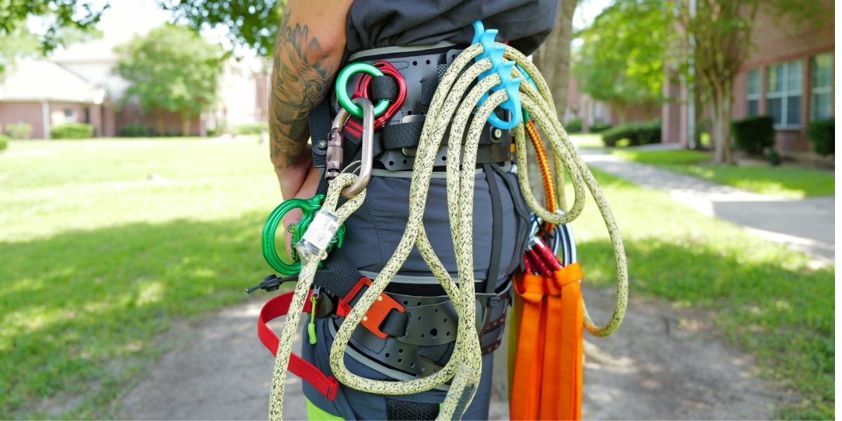 How Do You Choose the Right Harness for Tree Climbing?
