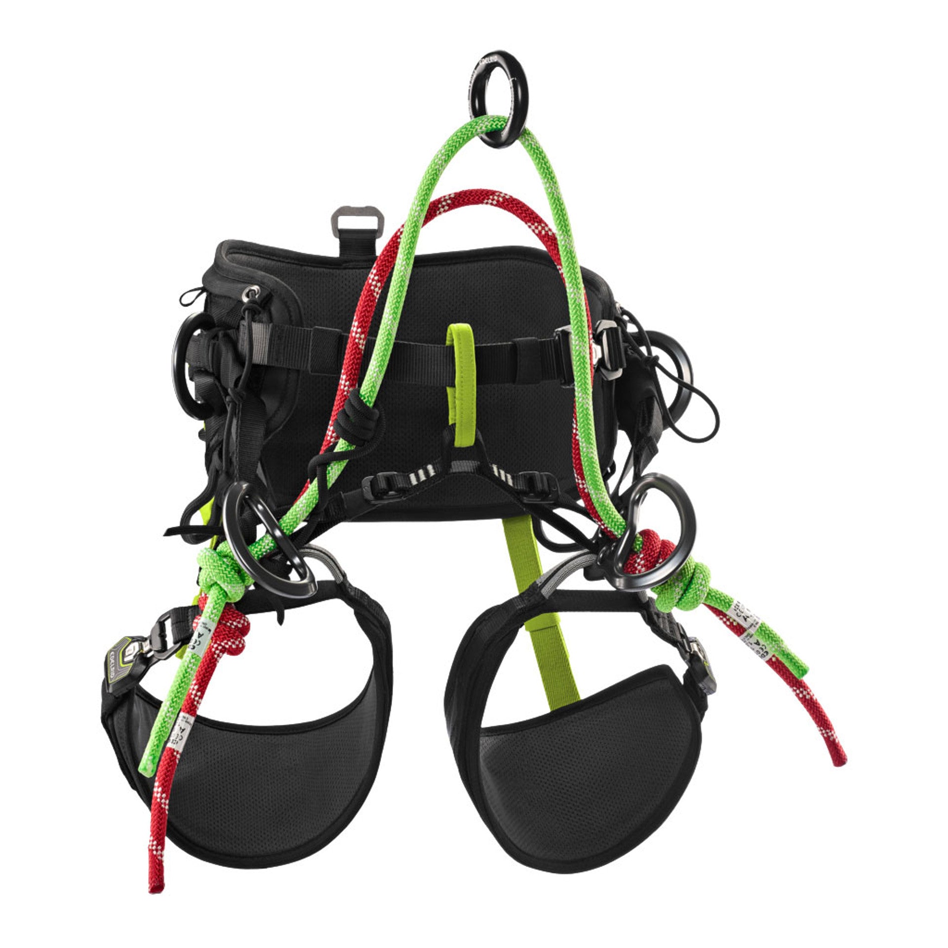 【RIDIN' STREET 09】 t-Ace ESSENCIAL Edelrid TreeRex 2.0 Saddle