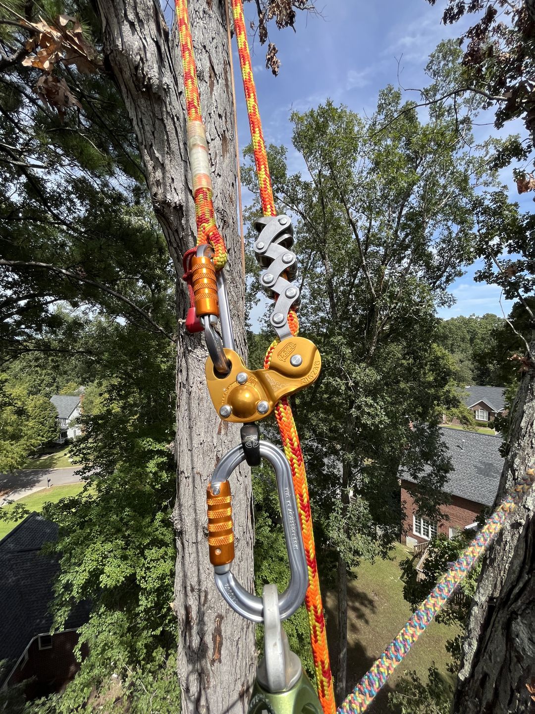 SRT Tree Climbing Kit Zigzag Plus