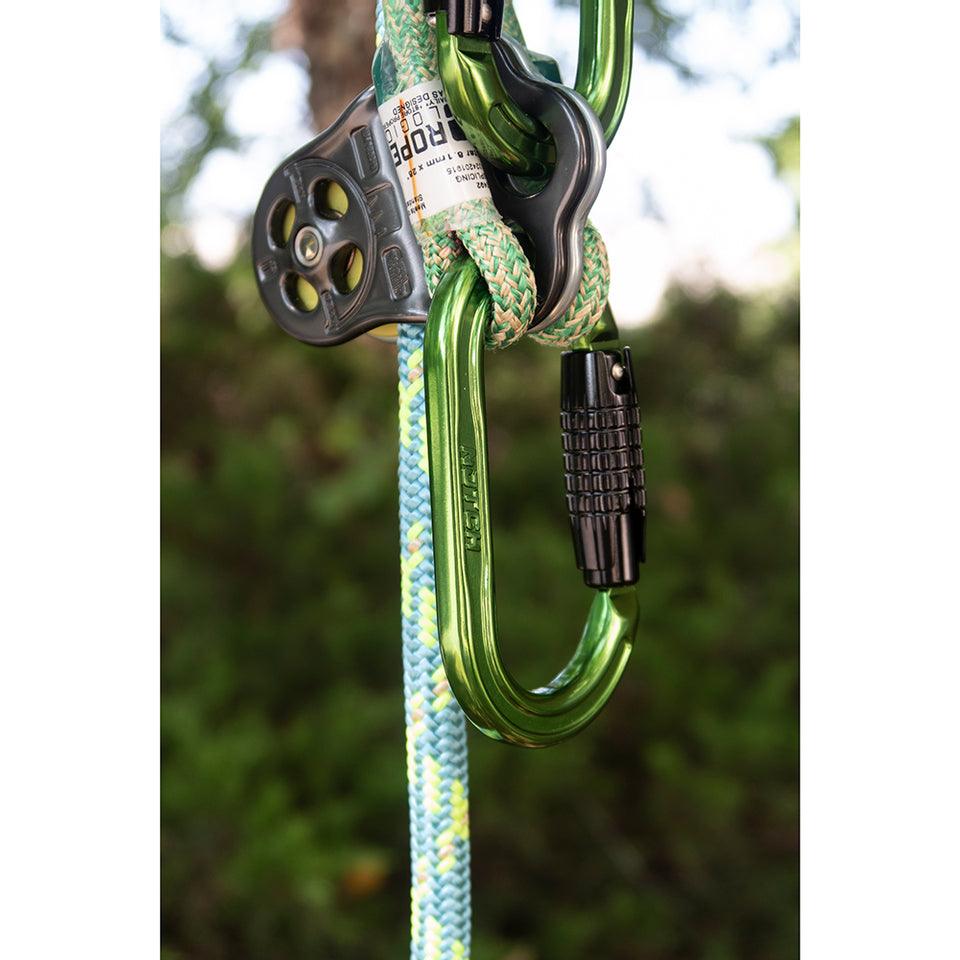 Notch Absolute Oval Aluminum Carabiner